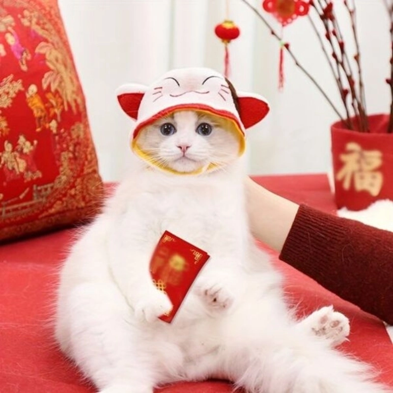 Không cưỡng lại nổi sự ngây thơ của em bé mèo cute
