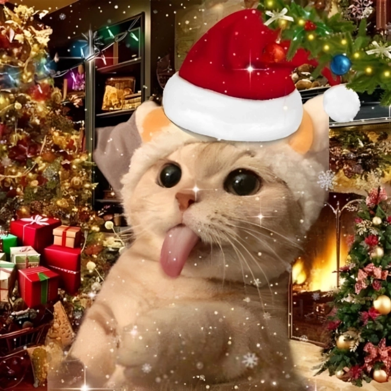 Thế giới dễ thương thu nhỏ qua hình ảnh con mèo cute meme