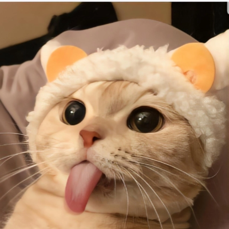 Tổng hợp những chiếc meme meo mèo cute cho tín đồ nghiện mèo