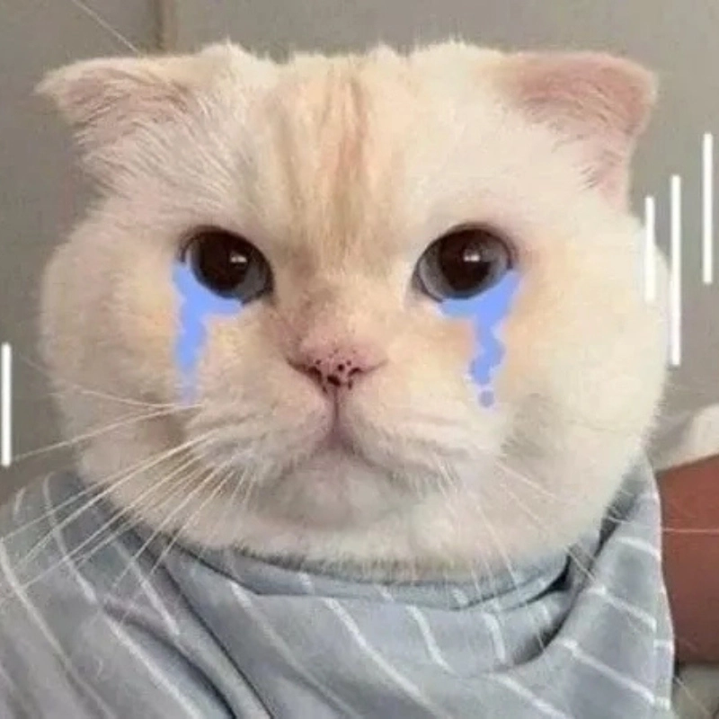 Cảm xúc trọn vẹn trong từng chiếc meme mèo cute khóc