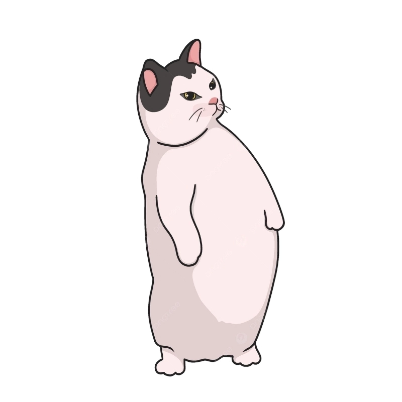 Bộ sưu tập tải ảnh mèo cute meme miễn phí và siêu chất