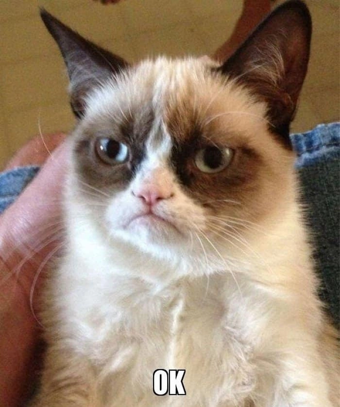 Are you ok meme meme hỏi han đậm chất hài