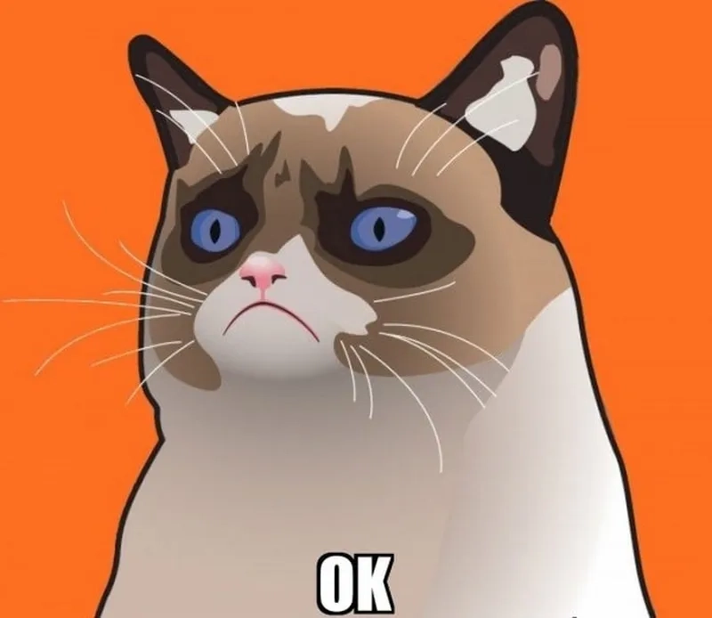 Ok meme mèo gật đầu hài hước cực đáng yêu