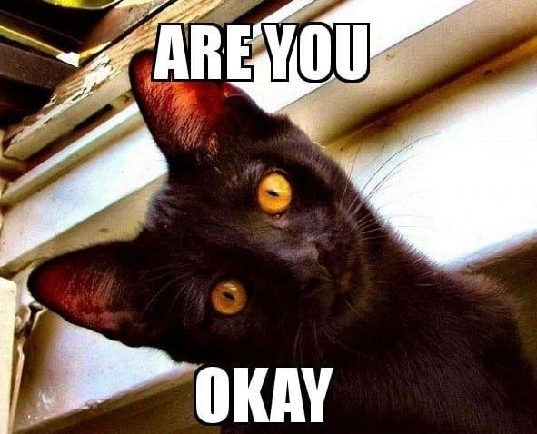 It's ok meme an ủi hài hước trong mọi tình huống