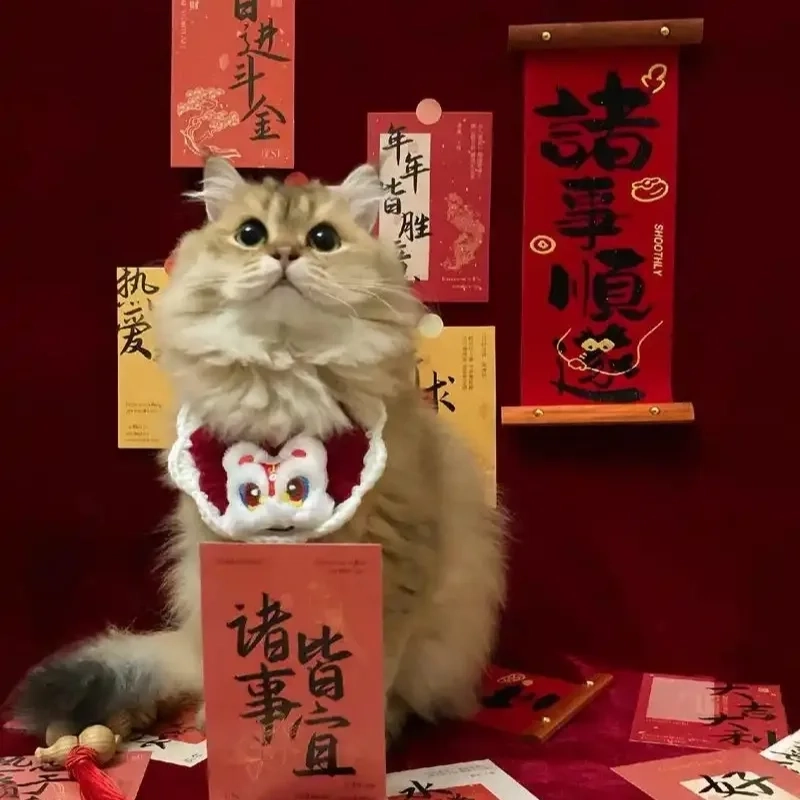 Mở đầu năm mới đầy tiếng cười với ảnh mèo meme tết
