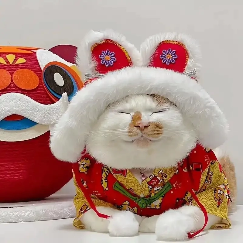 Top mèo meme tết dễ thương khiến ai cũng tan chảy