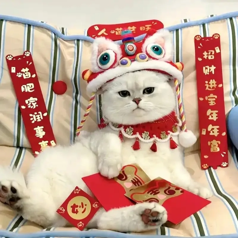 Cười rũ với hình con mèo hài hước tết này