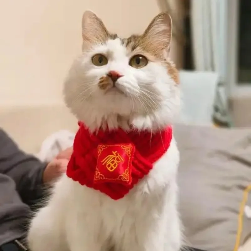 Cười thả ga cùng bộ meme tết mèo cực bắt trend