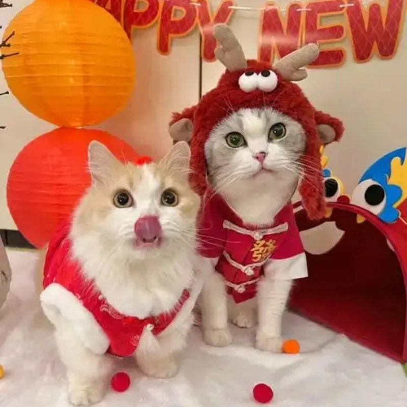 Đừng bỏ lỡ bộ mèo tết meme siêu chất cho mùa xuân