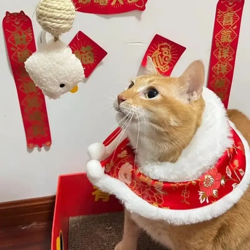 Cười thả ga đầu năm với loạt mèo hài meme hot trend