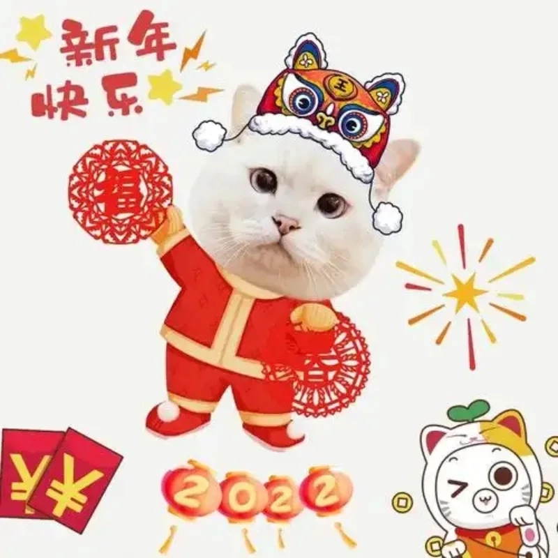 Đón năm mới với meme mèo cute Tết rộn ràng, vui tươi