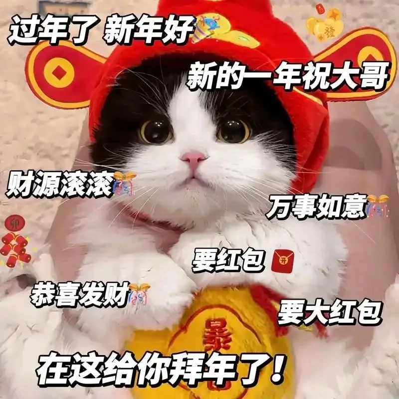 Đón tết rộn ràng cùng meme mèo ngày tết gây sốt mạng