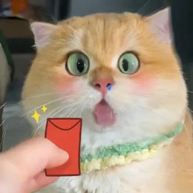 Tết không thể thiếu ảnh mèo meme đón tết siêu bá đạo