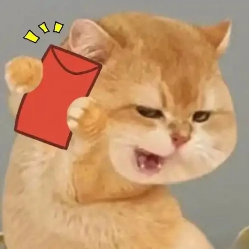 Cười xỉu với loạt ảnh meme mèo đón tết chất khỏi bàn