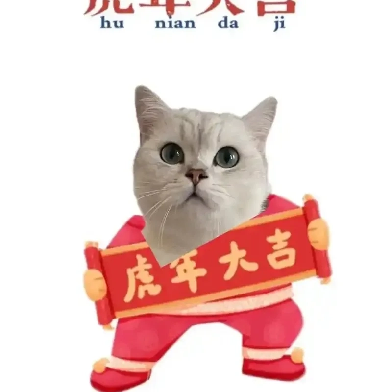 Cập nhật avatar mèo đón tết meme siêu đáng yêu đậm không khí tết