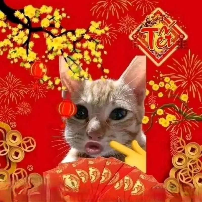 Sưu tầm ngay ảnh mèo meme tết 2025 hài hước chuẩn trend