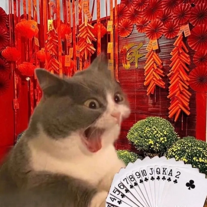 Mèo meme tết siêu cấp đáng yêu cùng bạn đón lộc đầu năm