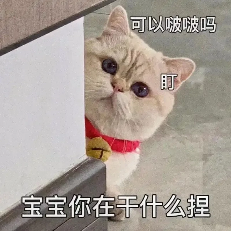 Ý nghĩa của ảnh meme mèo Tết