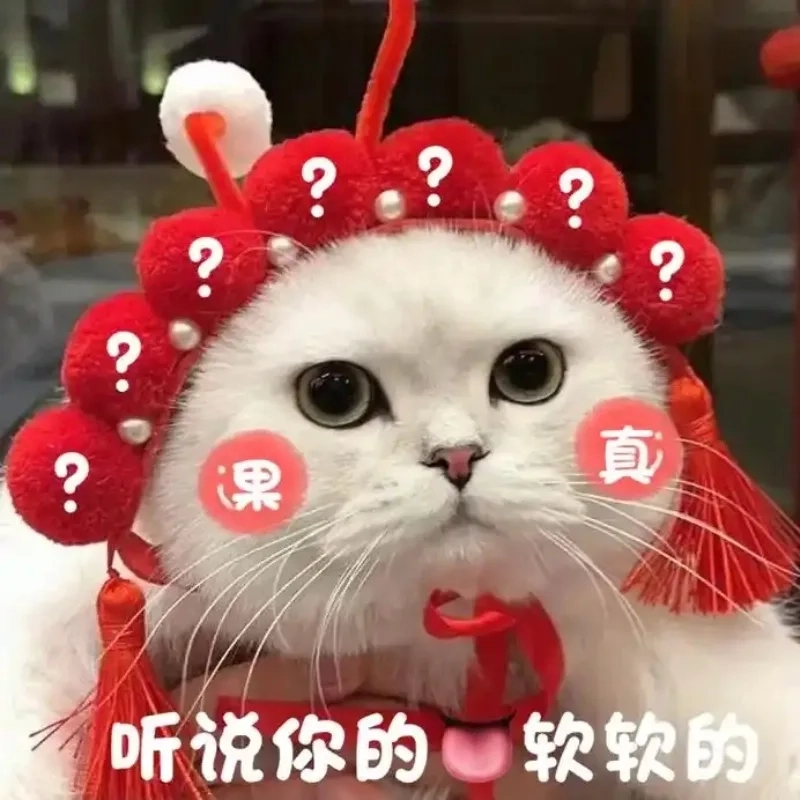 Ảnh mèo tết meme hài cười bể bụng cho năm mới vui tươi
