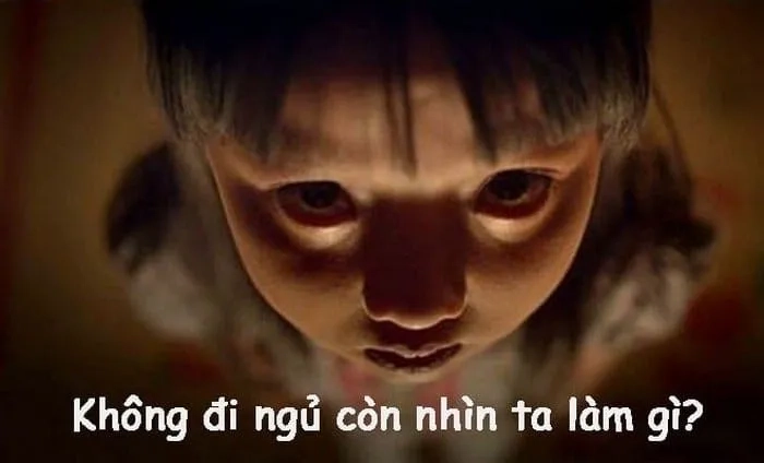 Hình ảnh buồn ngủ hài hước để chào đón một giấc ngủ sâu