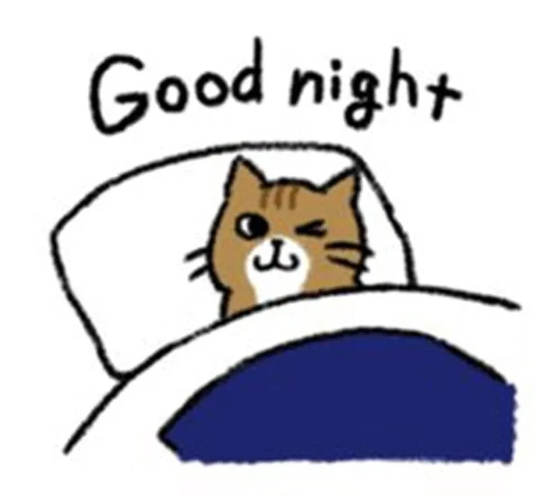 Meme dễ thương nhất để chúc ngủ ngon cute!