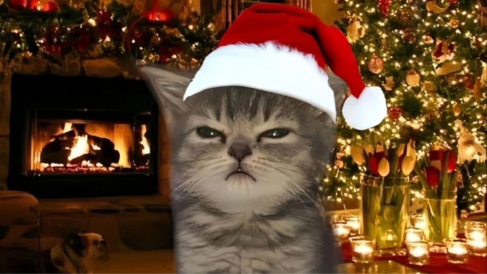 Avatar mèo meme Noel siêu dễ thương, vừa chill vừa ngầu