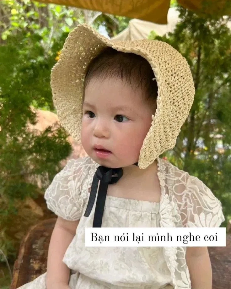 Meme Pam thôi đủ rồi khi bạn không còn sức drama nữa