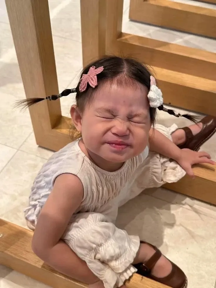 Meme Pam cố lên cổ vũ đáng yêu nhất mạng xã hội hiện tại