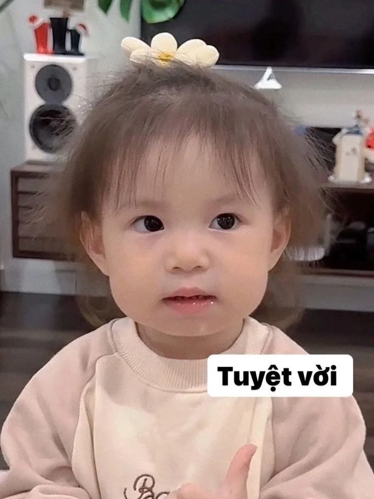 Ý nghĩa của meme Pam