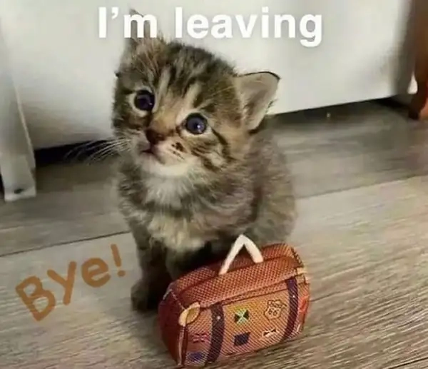 Meme bye bye đậm chất Gen Z dễ thương và lém lỉnh