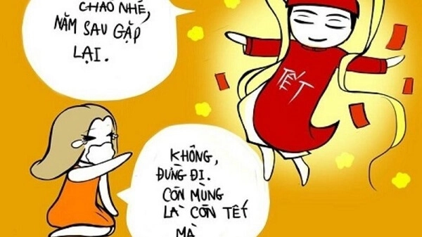 Ý nghĩa của ảnh meme Tết
