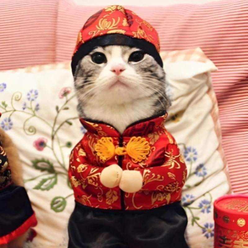 Meme Tết vui nhộn, đậm không khí xuân với loạt biểu cảm hài hước