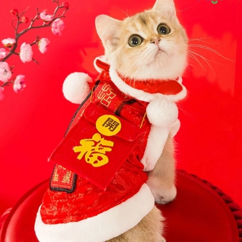 Meme ảnh Tết hài hước kèm caption “bắt trend” ăn khách nhất dịp xuân