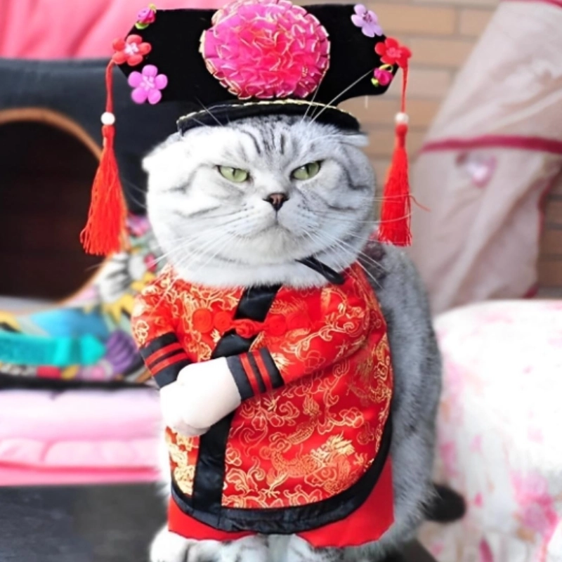 Meme Tết hài hước đủ kiểu – từ lì xì, ăn nhậu đến ngủ lăn