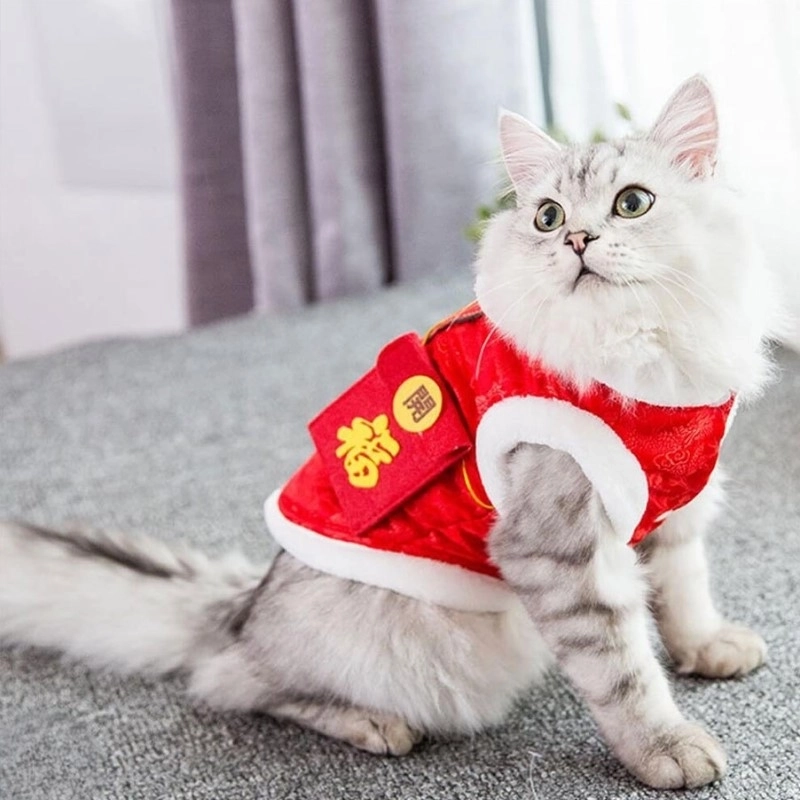 Ảnh meme lì xì Tết dùng để “đòi quà” một cách đáng yêu nhất