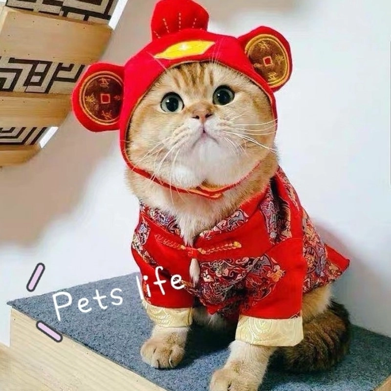 Bài meme Tết viết kiểu lục bát hoặc parody, chọc cười cả họ