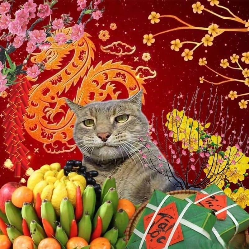 Meme thưởng Tết châm biếm nhẹ nhàng, hài hước về lương - thưởng