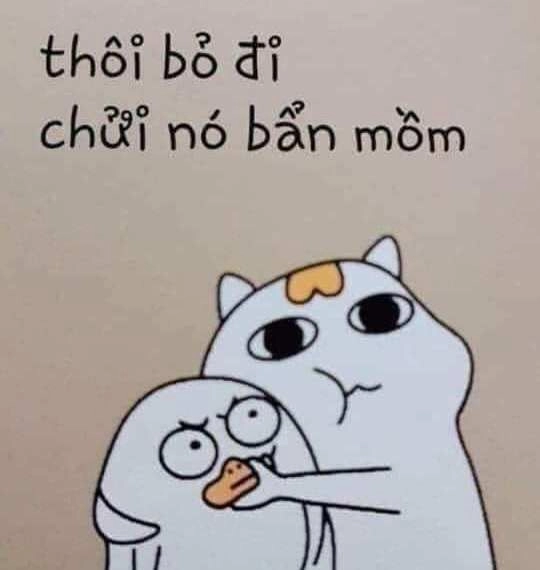 Meme không vui nhưng vẫn cố gắng giữ nụ cười