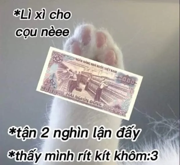 Vinh tiền lẻ meme đậm chất cà khịa khó đỡ từng biểu cảm