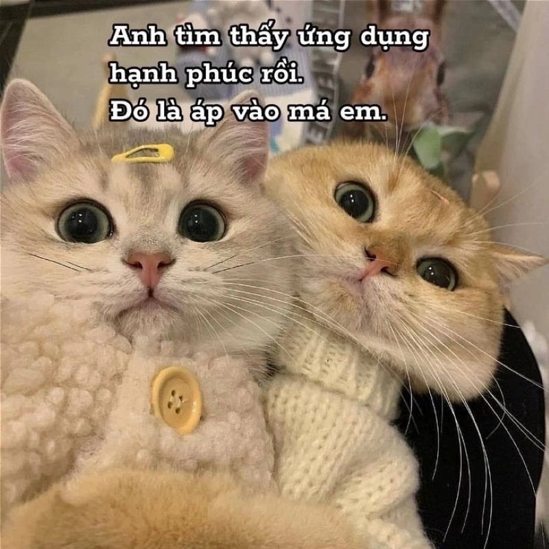 Không chỉ có tình yêu, meme tình bạn cũng cực kỳ dễ thương và chân thành!