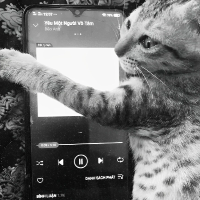 Hòa mình vào nhạc meme tình yêu để cảm nhận tình cảm ngập tràn trong từng giai điệu!