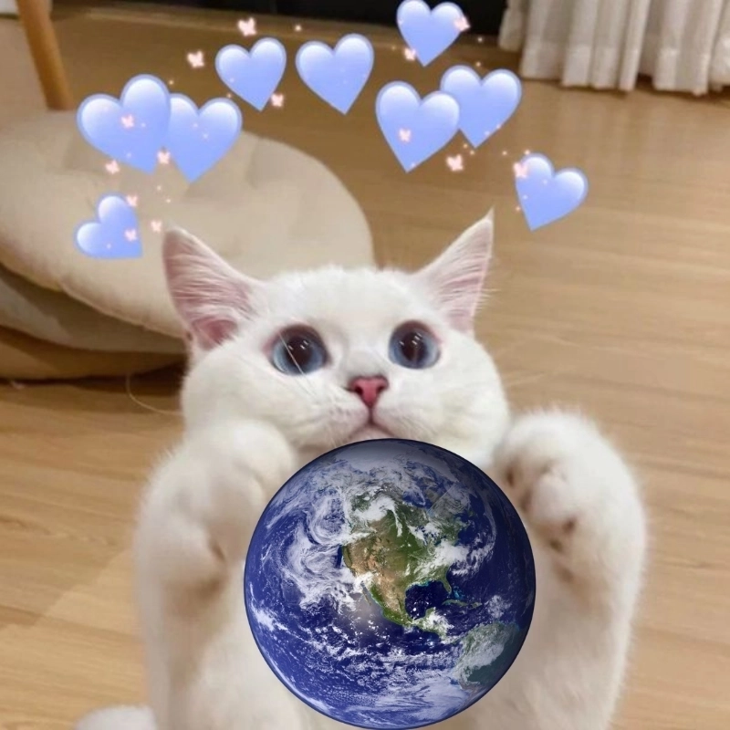 Meme về tình yêu là cách tuyệt vời để biểu đạt cảm xúc của bạn với người ấy!
