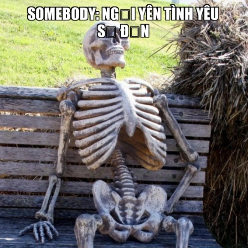 Chờ đợi tình yêu với meme ngồi im tình yêu sẽ đến, đừng vội vàng!