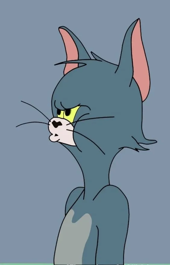 Meme mèo Tom cười rạng rỡ lan tỏa niềm vui