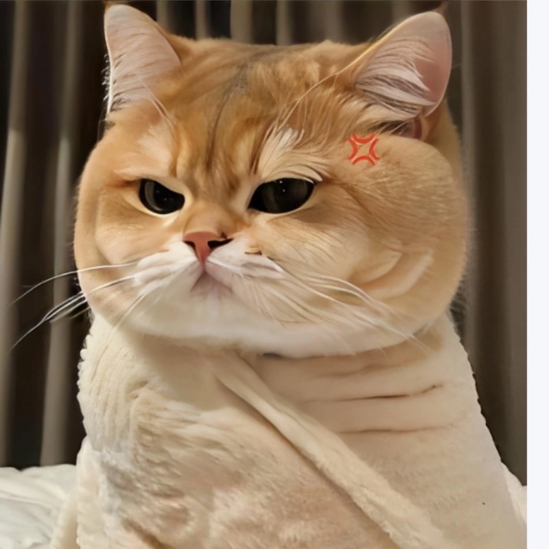 Một góc tâm trạng dịu dàng với ảnh mèo meme khóc cute