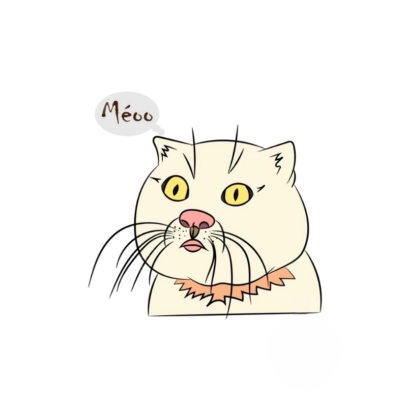 Không thể rời mắt với bộ meme mèo vẽ siêu cấp dễ thương