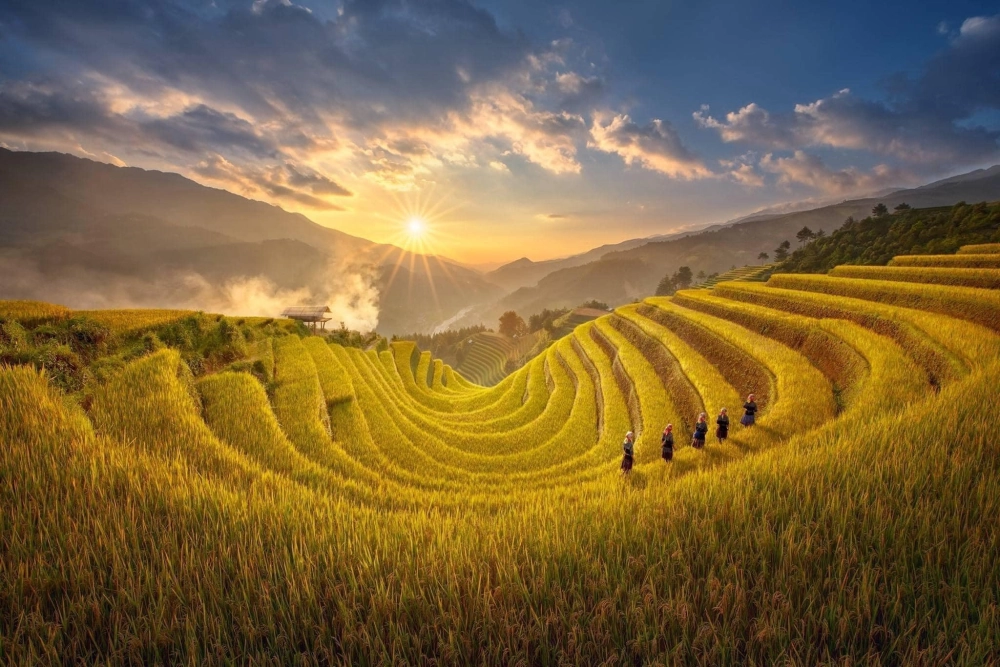 Tất tần tật kinh nghiệm đi du lịch mù cang chải