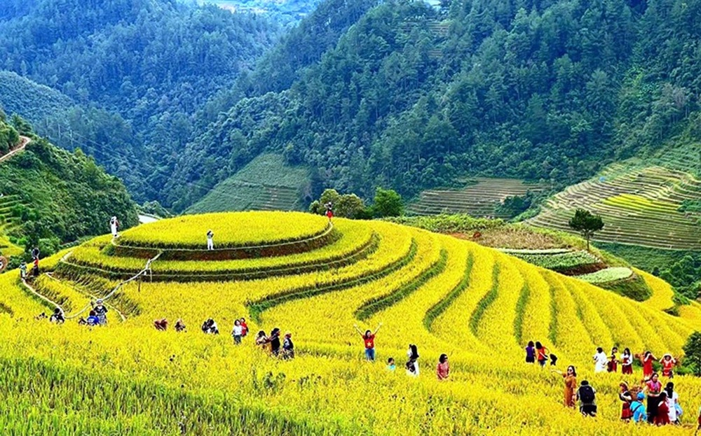 Khám phá giới thiệu về mù cang chải đầy đủ