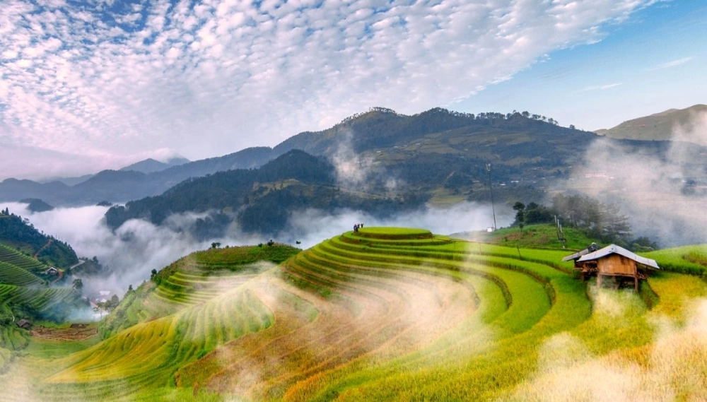 Thông tin về mù cang chải ở huyện nào