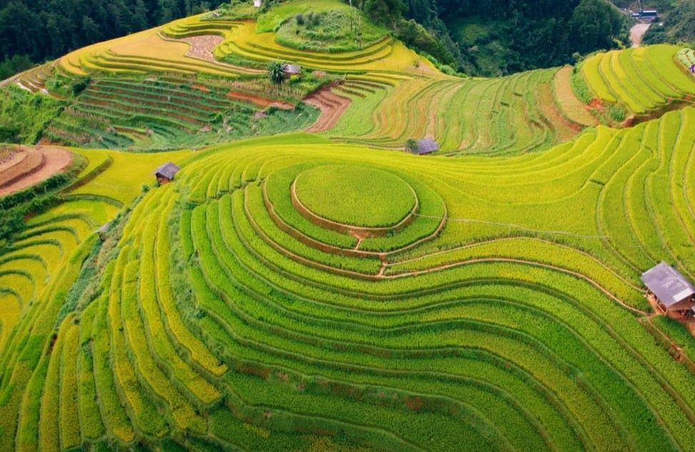 Tổ chức tour du lịch mù căng chải dễ dàng